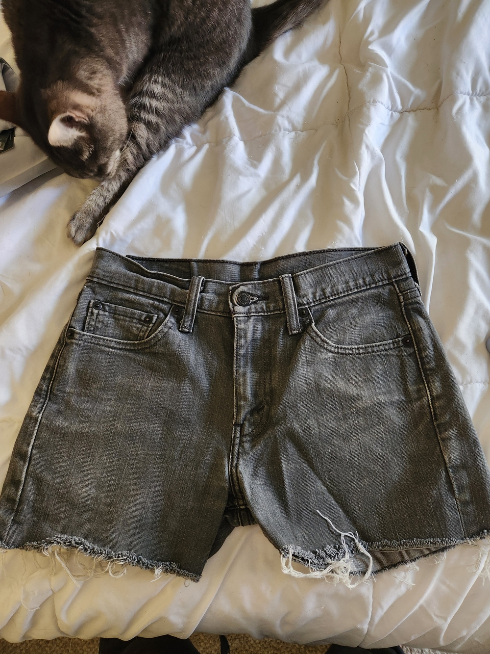 Levi's Denim Shorts